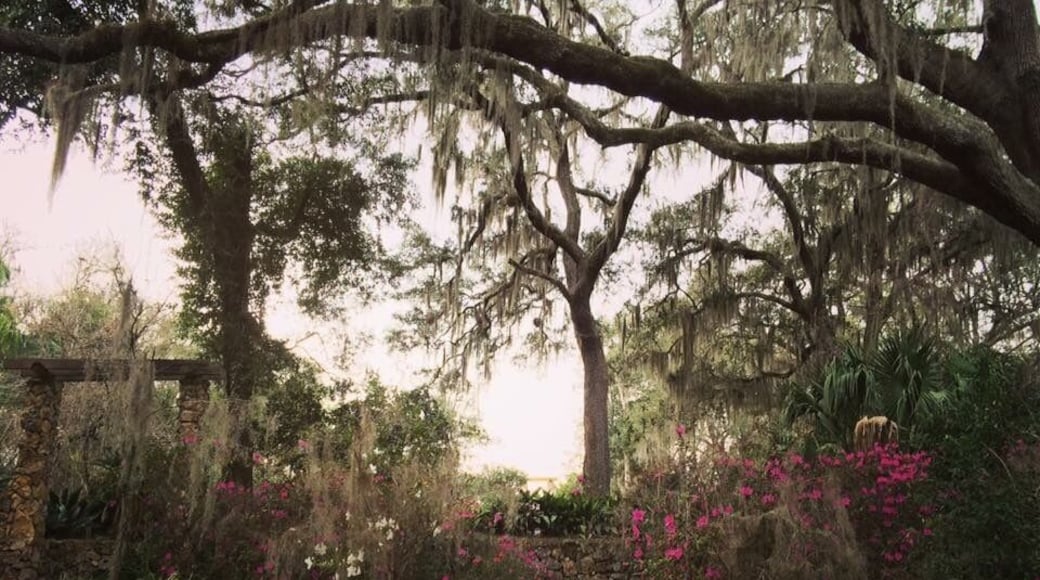 Ravine Gardens State Park