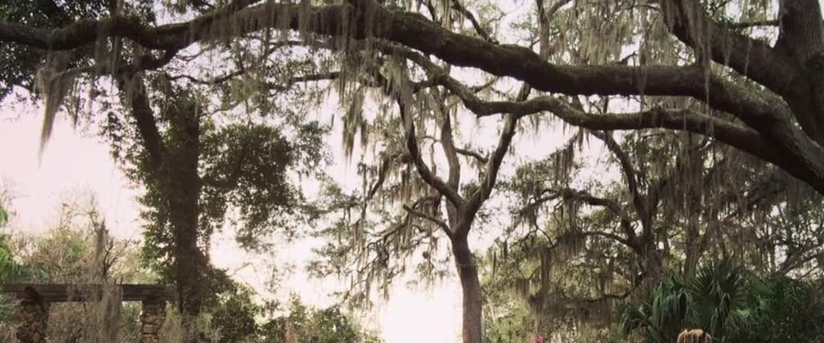 Ravine Gardens State Park