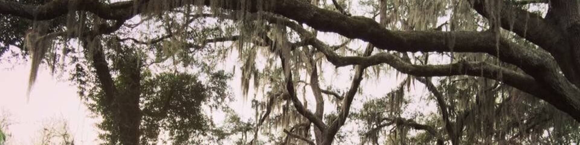 Ravine Gardens State Park