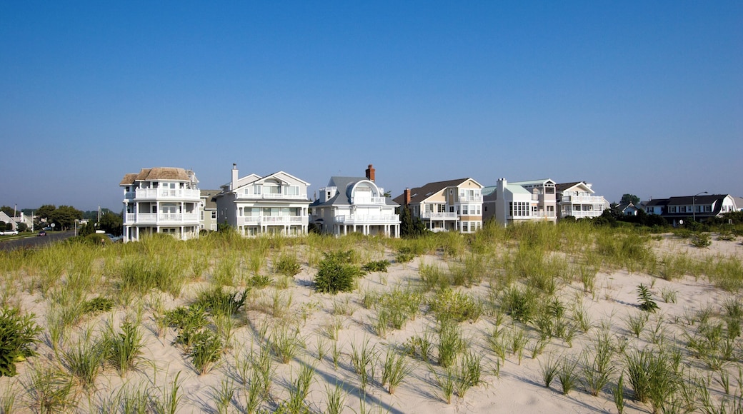 Color DSLR picture of luxury, white vacation beach houses along the Spring Lake, New Jersey shore, with sand dunes in the foreground and a clear, bright, daytime blue sky background. Horizontal orien