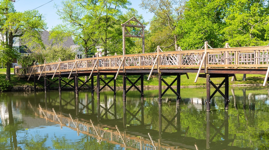 Wooden Bridge over Spring Lake