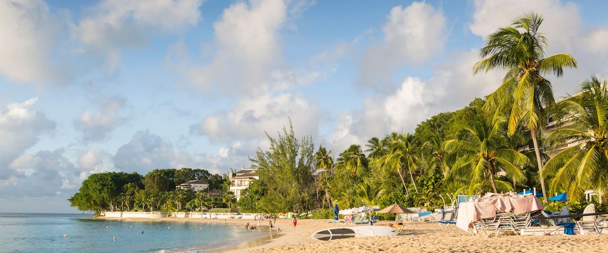 A beach with palm trees, a sandy shore, and a few umbrellas.