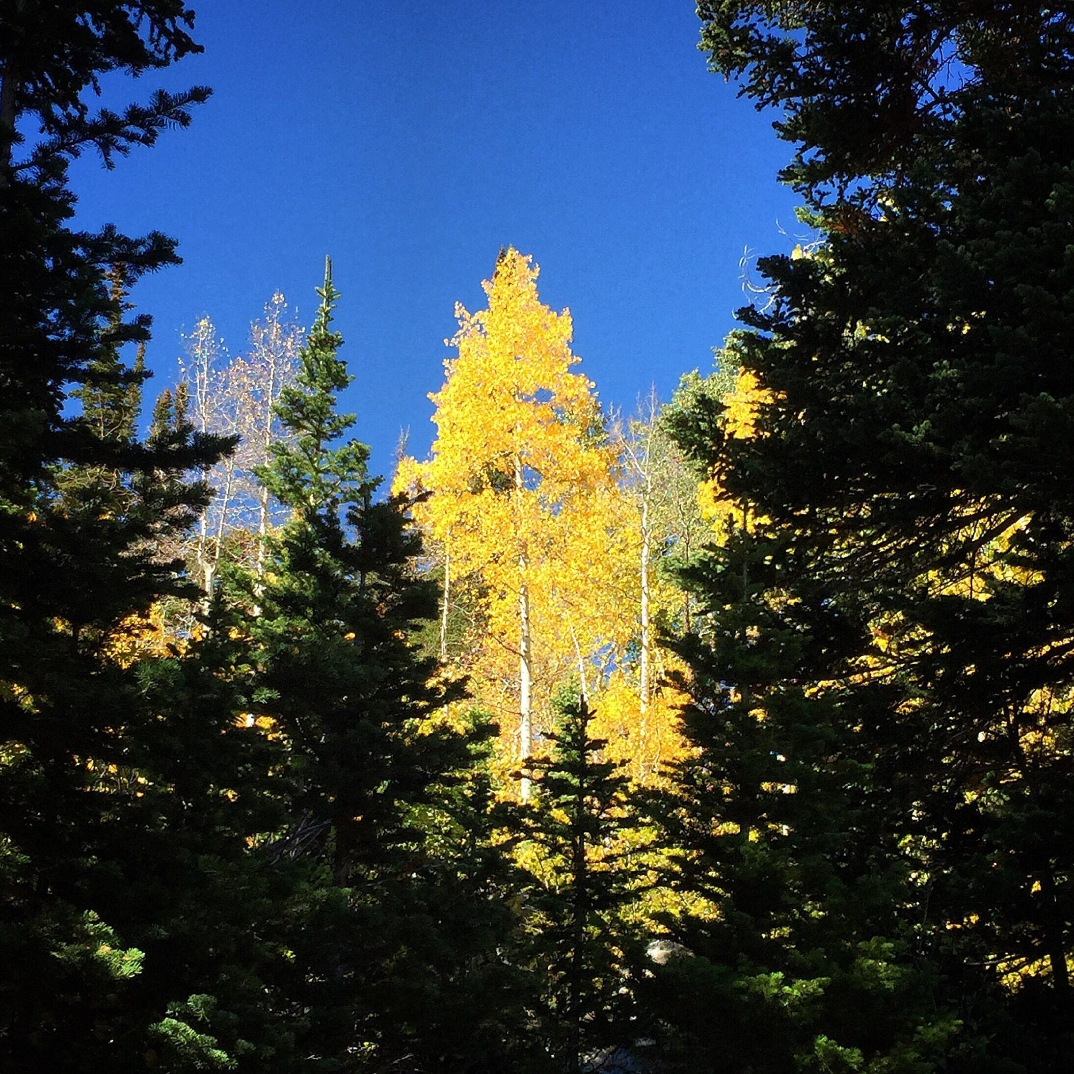 Time to get outside and soak in the beauty of Fall. 