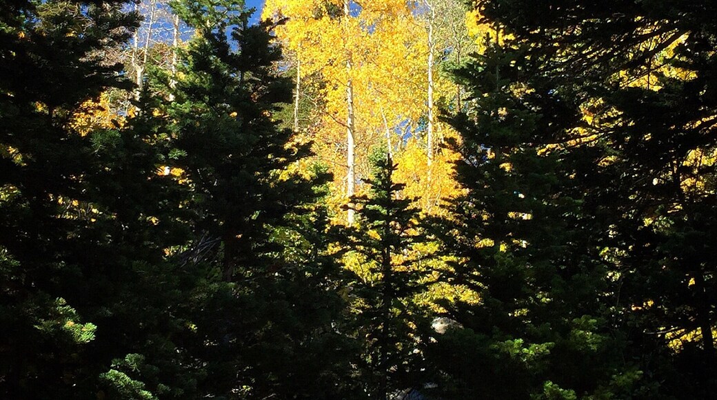 Time to get outside and soak in the beauty of Fall.