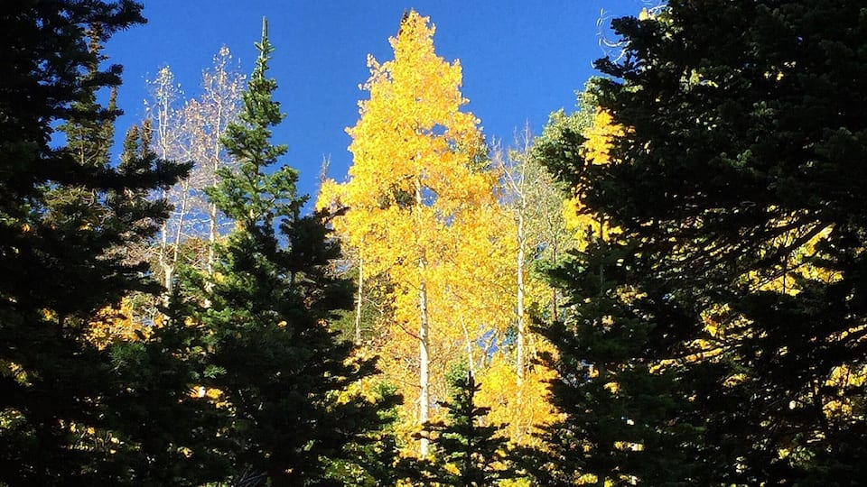 Time to get outside and soak in the beauty of Fall.