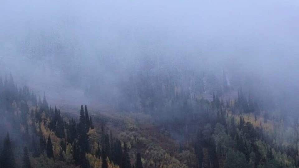 Big cottonwood in the fall 2016 right as the colors came out it started snowing. đšâïžâš #green
