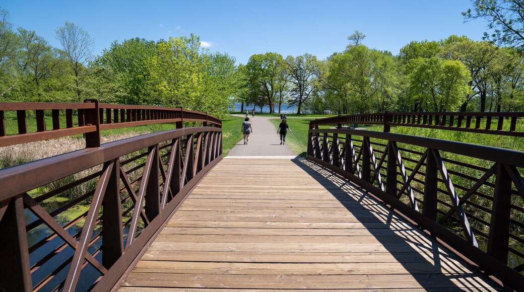 Footbridge in Clifton E French Regional Park in Plymouth Minnesota, part of the walking trails