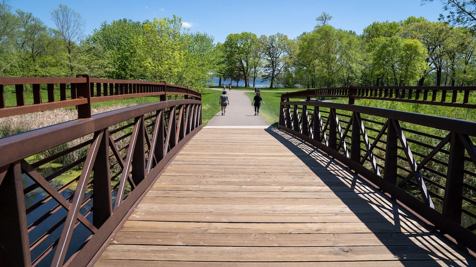 A wooden boardwalk with metal railings leading to a lake surrounded by trees.