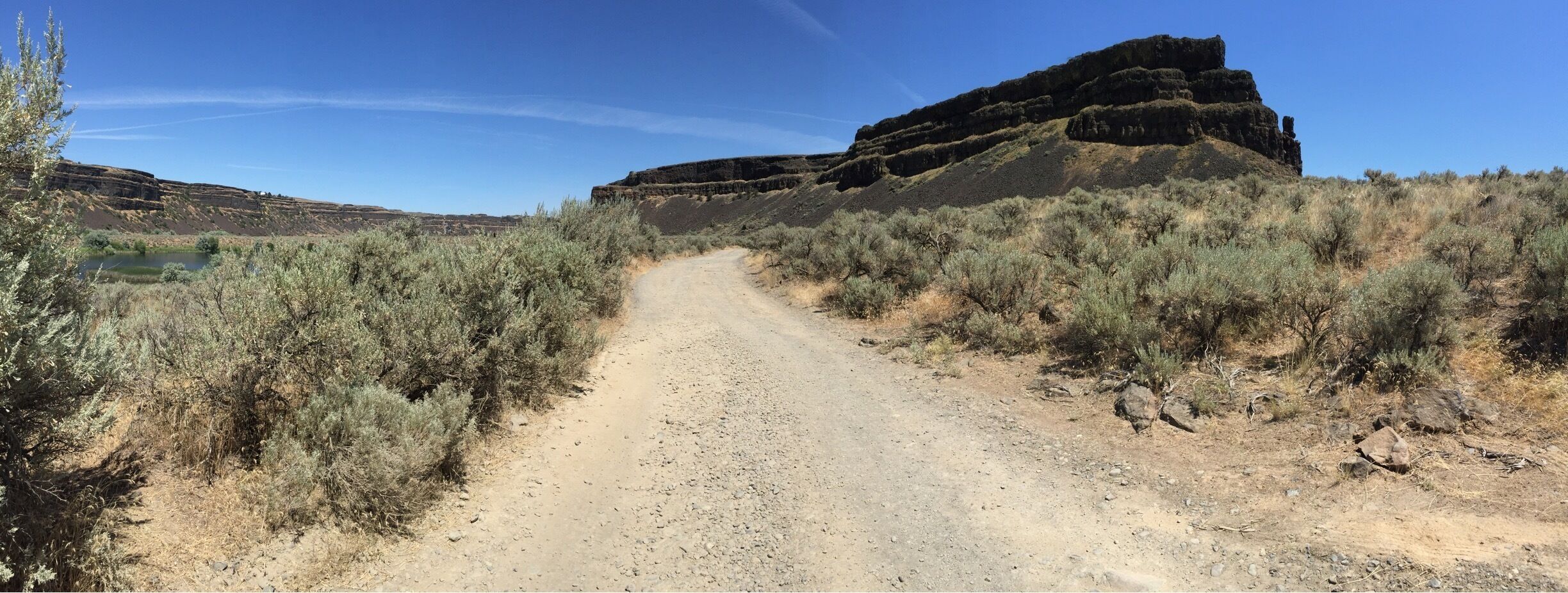 Not the first place you'd think to find in the evergreen state. But it's pretty amazing out there. 