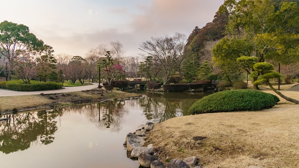 A serene park with a pond, neatly trimmed bushes, and trees.