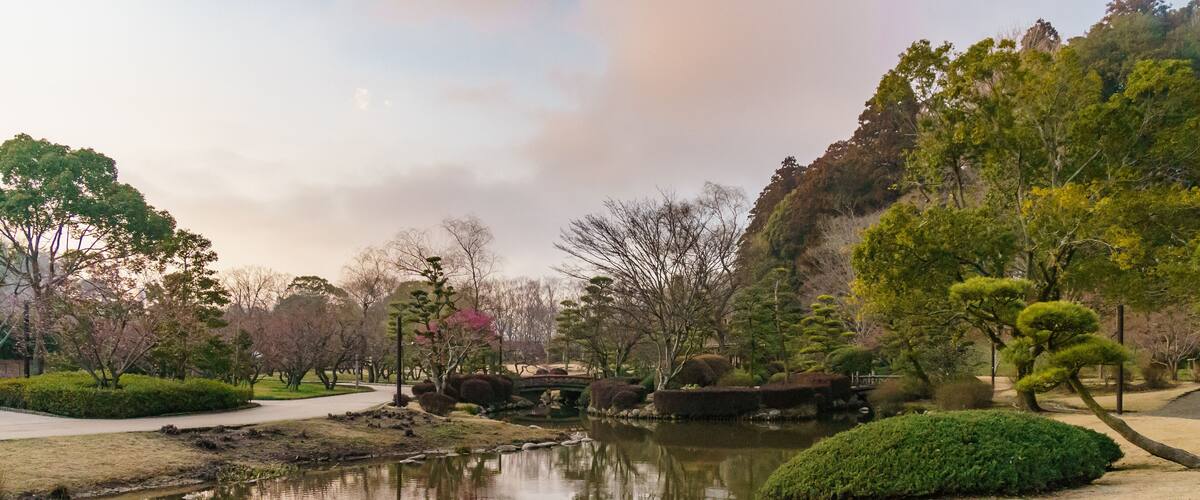 A serene park with a pond, neatly trimmed bushes, and trees.