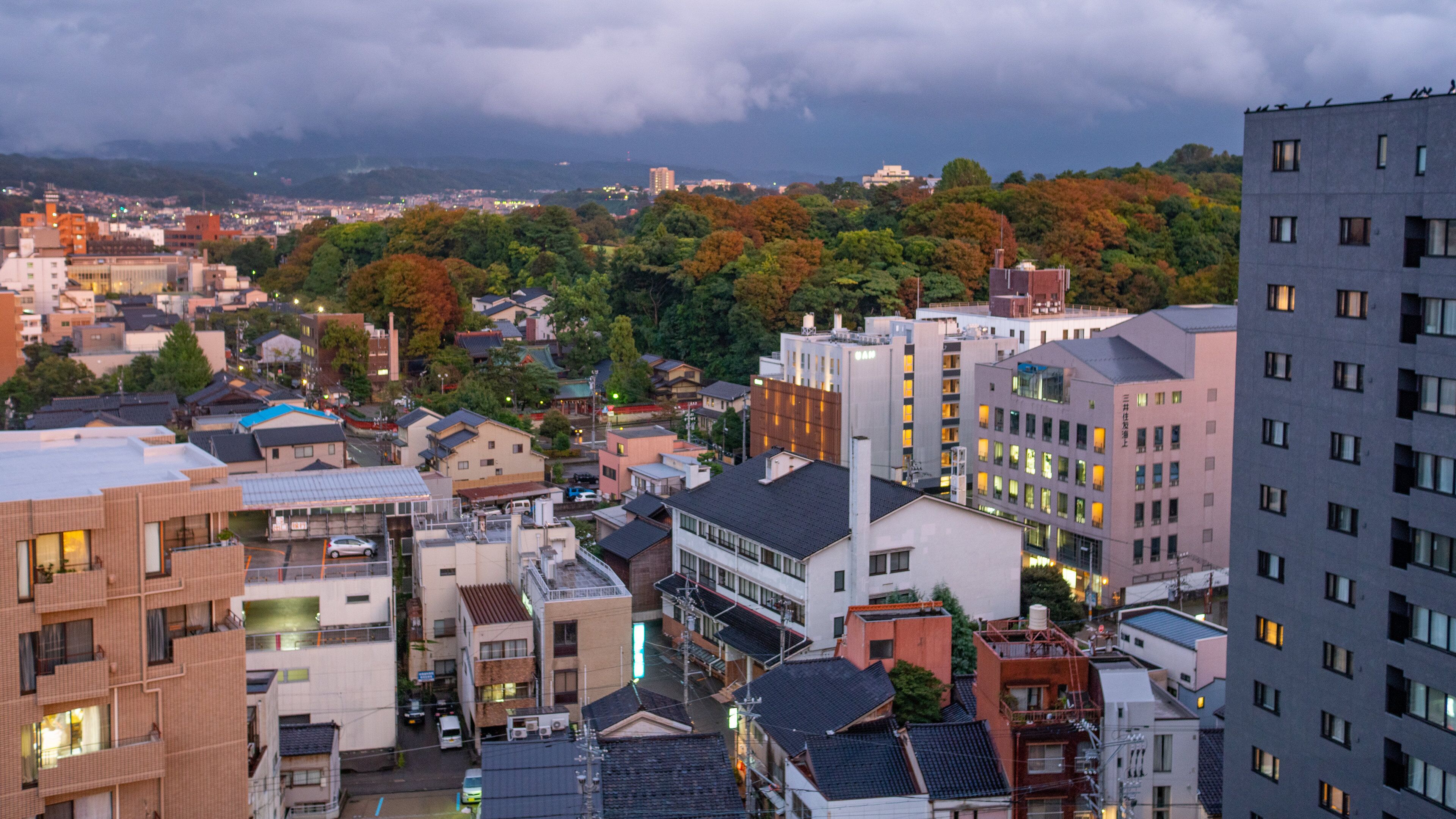 Kanazawa showing landscape views