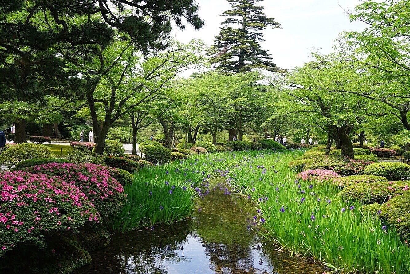 
The Green day.
#Fukui #Japan #flower #green #garden

Taken at May 31st, 2015.