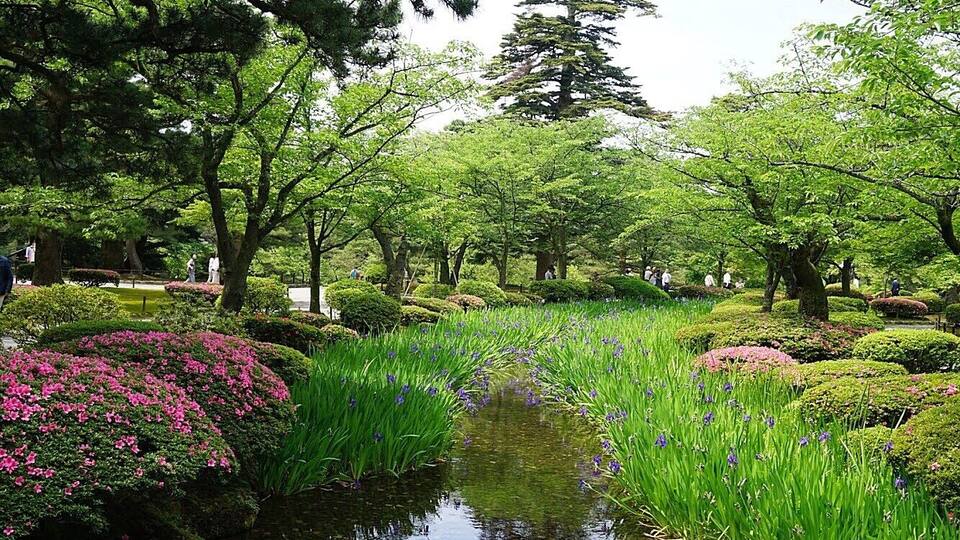 The Green day.
#Fukui #Japan #flower #green #garden
Taken at May 31st, 2015.