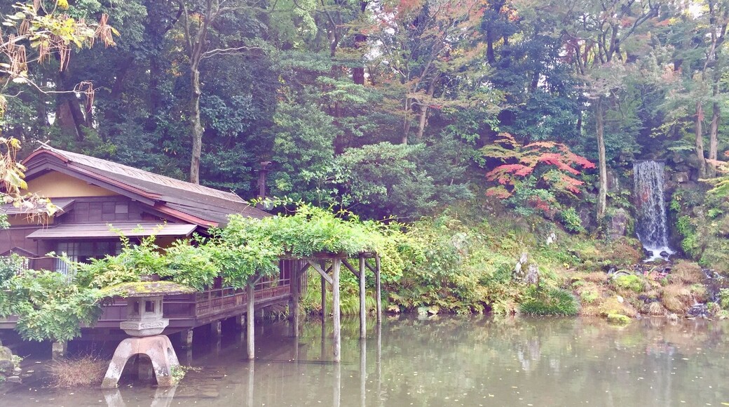 Beautiful, serene garden across from the Kanazawa castle.