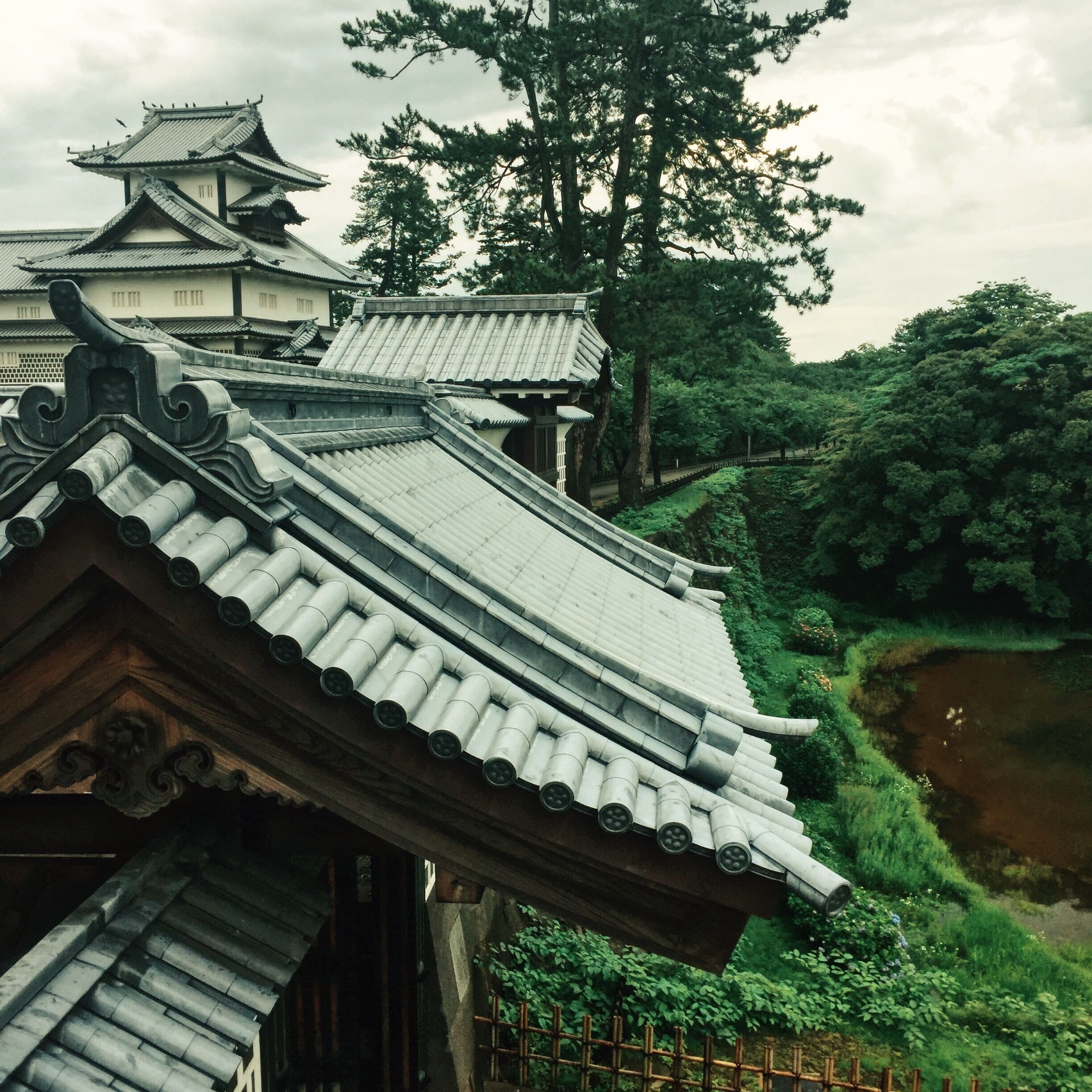 View while walking in Kanazawa castle, Japan. Lots of big black birds here intimidating us. The park is so beautiful and lush, especially in the light rain #japan #castle #architecture 