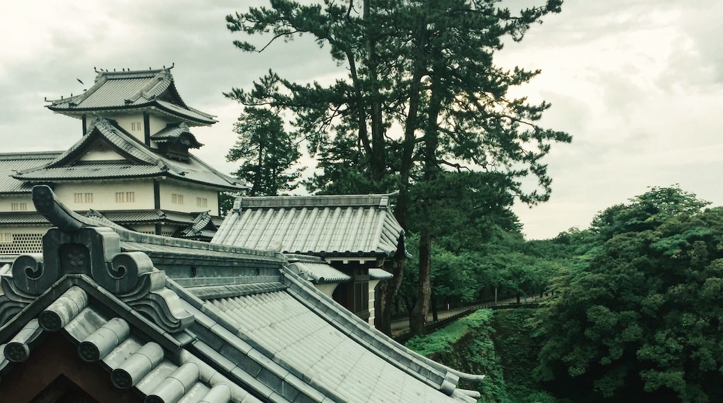 View while walking in Kanazawa castle, Japan. Lots of big black birds here intimidating us. The park is so beautiful and lush, especially in the light rain #japan #castle #architecture