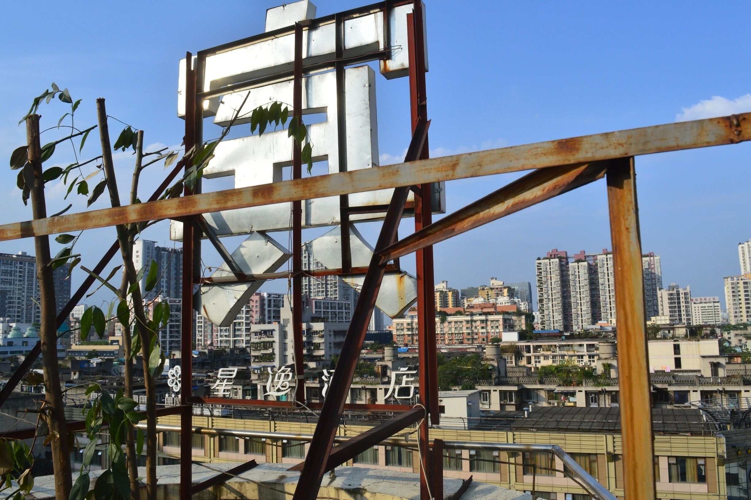 A rare sight: a blue sky in China! 

Stray cats and scrap metal kept me company as I had tea on a rooftop in Chengdu.