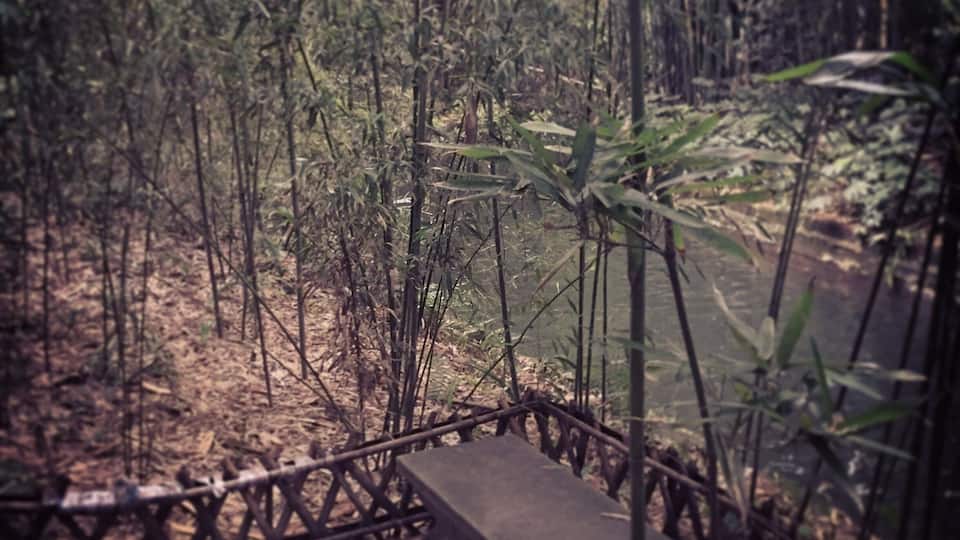 this park is buikt for comeomry a beautiful female poetist from tang danastey.