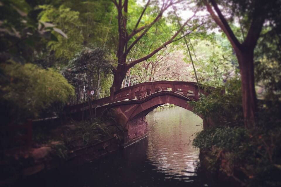 Uma ponte de madeira sobre um rio calmo, cercada por vegetação exuberante e árvores.