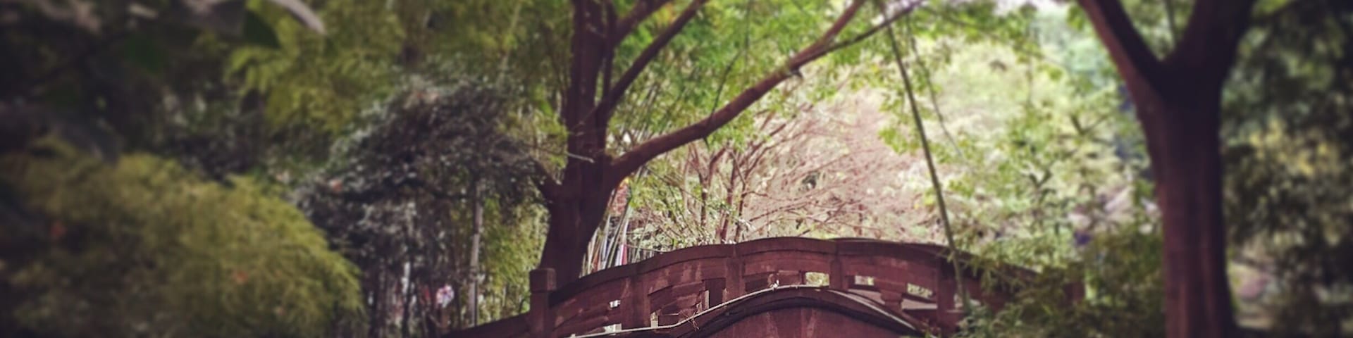 when i was that young i always windering i can be some one.suddenku when i looked back a bridge a childhoods playground is which i zealed for seeking.