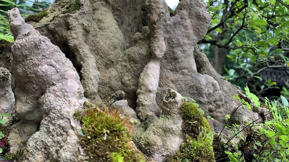 The Bonsai garden offers magical views in miniature. One can see how the legendary poet wrote so prolifically in this spot. #Nature