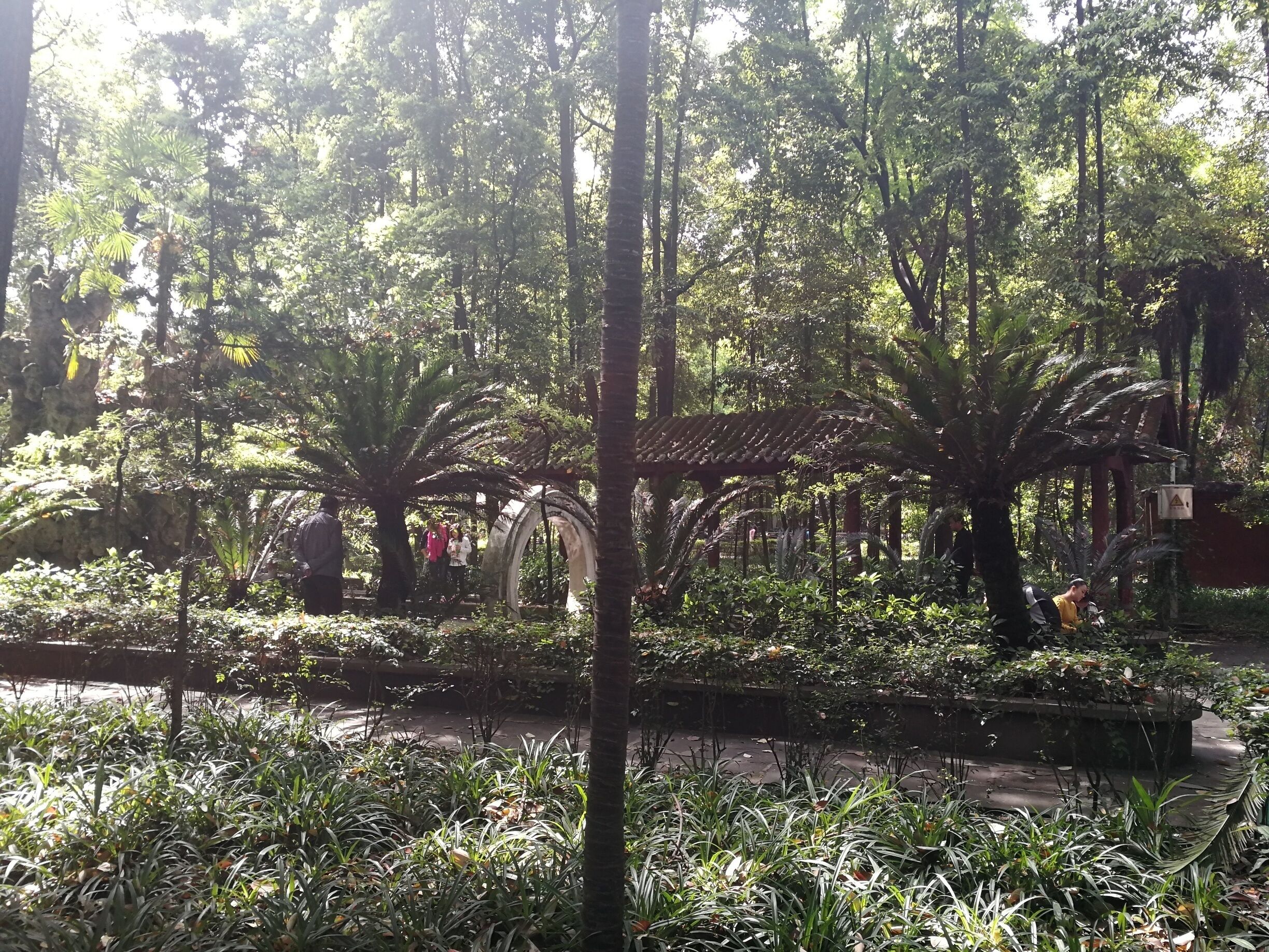 The gardens of Wen Shu Monastery