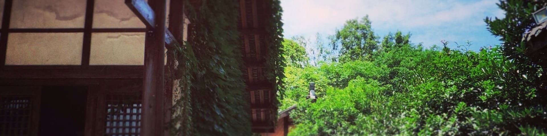 Park In the country side