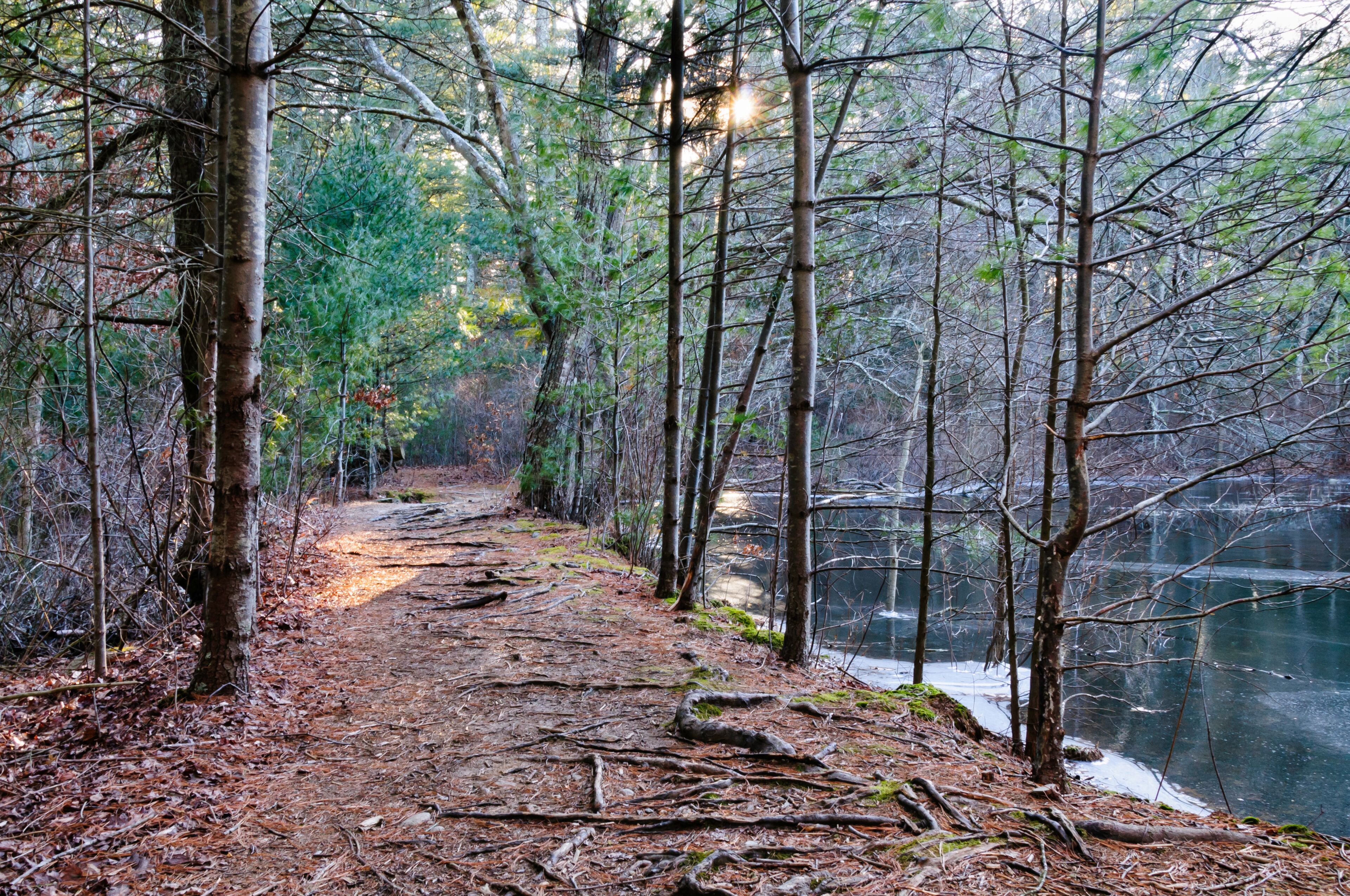 Seekonk