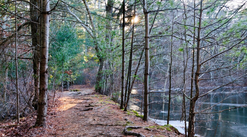 Seekonk