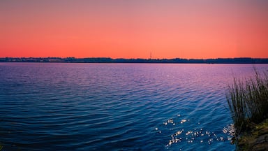 Sunset Seekonk River landscape with reed water plants in Providence, Rhode Island, USA