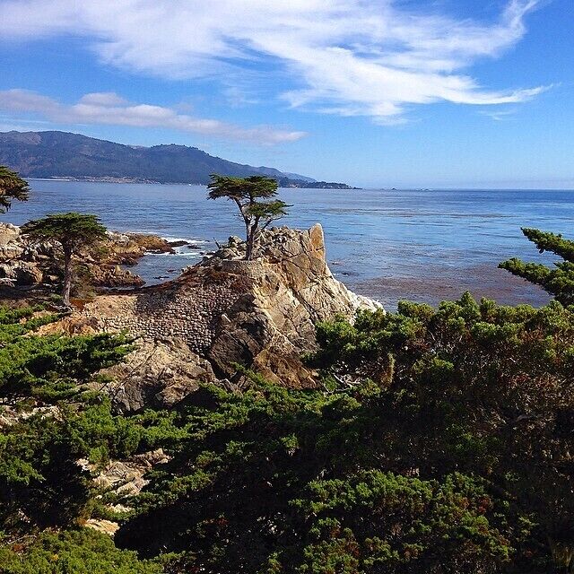 A coastal landscape with rocky terrain, dense green foliage, and a clear blue sky.