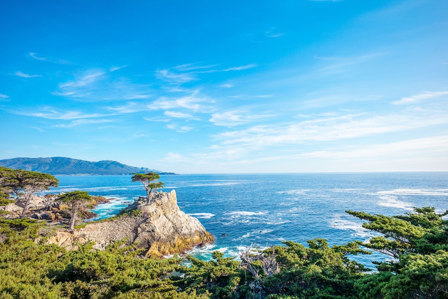 The Lone Cypress, seen from the 17 Mile Drive, in Pebble Beach, California.; Shutterstock ID 438920428