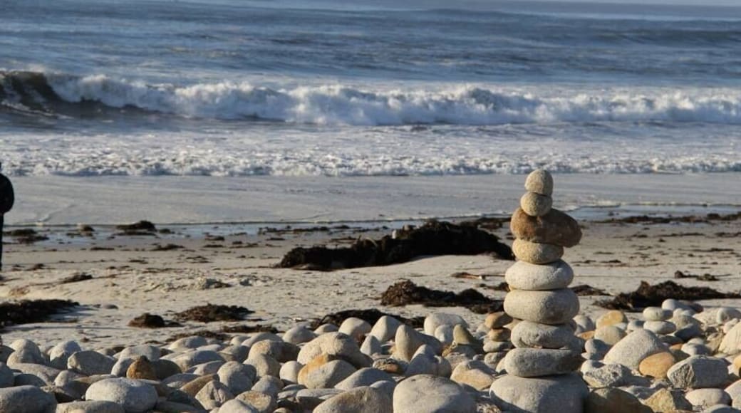17 miles of ocean , mountains , greenery 😍 the beach is named apt .. Pebble beach ; you get to spend hours collecting pebbles and playing with them . #beach #favdestinaton #lovetravel #relax #play #waterlust
