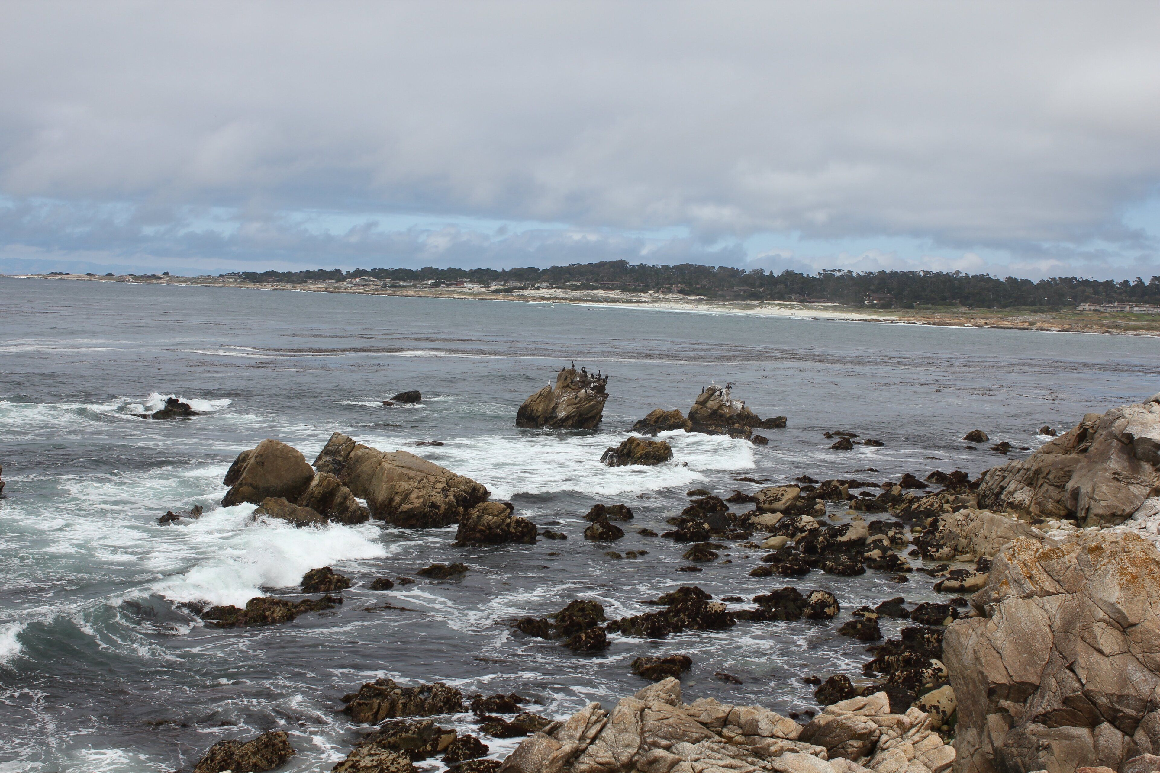 Pebble Beach