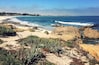 Spanish Bay can be accessed by vehicle from 17 Mile Drive ($10.50 per vehicle) or on foot from Asilomar State Beach (free) by walking south along the boardwalk.
