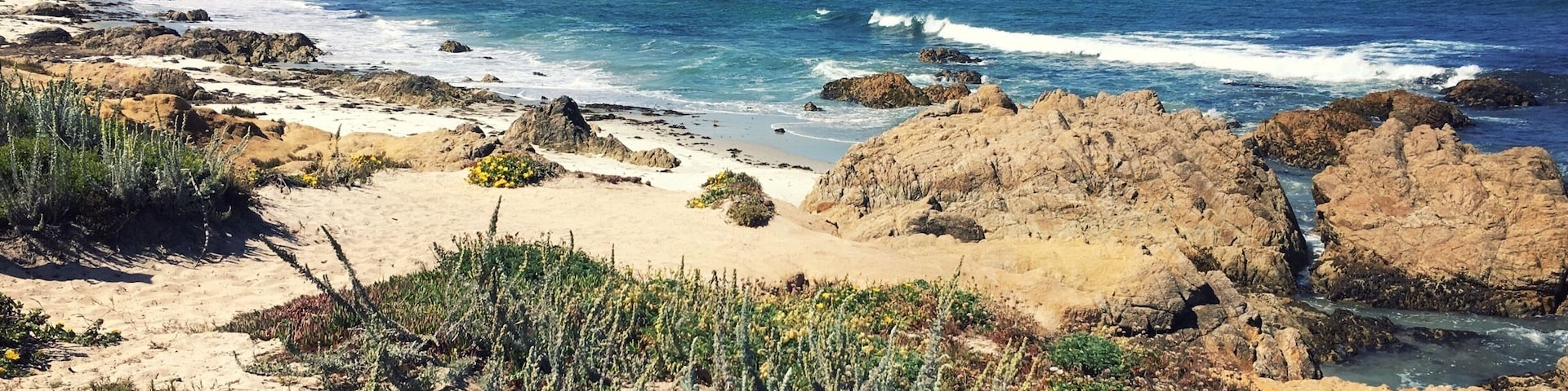 Spanish Bay can be accessed by vehicle from 17 Mile Drive ($10.50 per vehicle) or on foot from Asilomar State Beach (free) by walking south along the boardwalk.