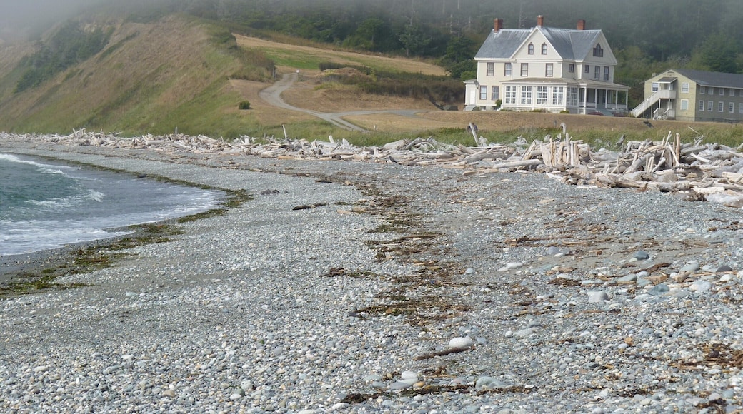 Fog on the shore. #findingtheuniverse