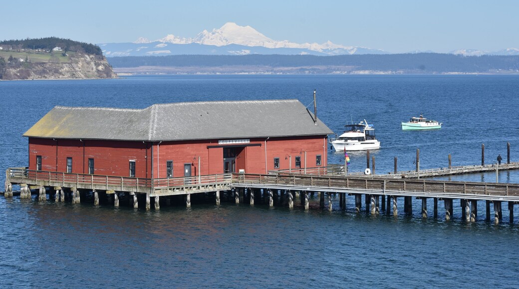 Beautiful March day above Penn Cove, overlooking the wharf with a large boat pulling in to dock.