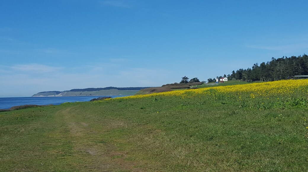 Here's the field and distant view of the lighthouse at Fort Casey. But behind this is a giant abandoned military fort that you can go inside and explore :)