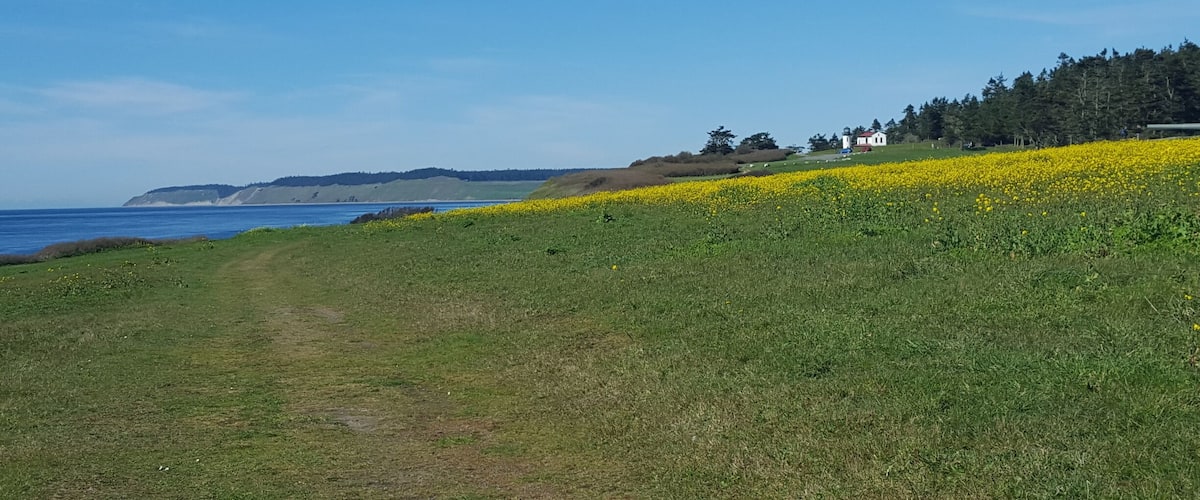 Here's the field and distant view of the lighthouse at Fort Casey. But behind this is a giant abandoned military fort that you can go inside and explore :)