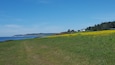 Here's the field and distant view of the lighthouse at Fort Casey. But behind this is a giant abandoned military fort that you can go inside and explore :)