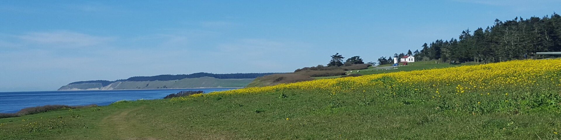 Here's the field and distant view of the lighthouse at Fort Casey. But behind this is a giant abandoned military fort that you can go inside and explore :)