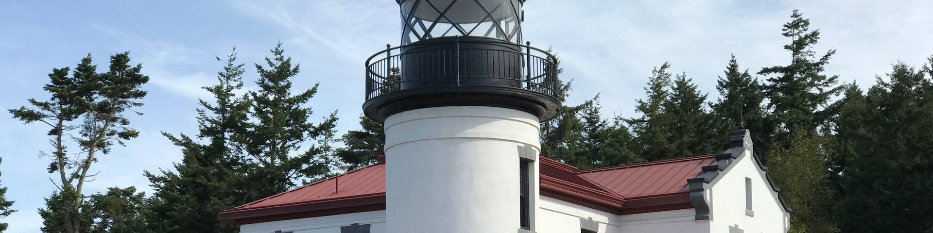 A white lighthouse with a black lantern room, surrounded by trees.