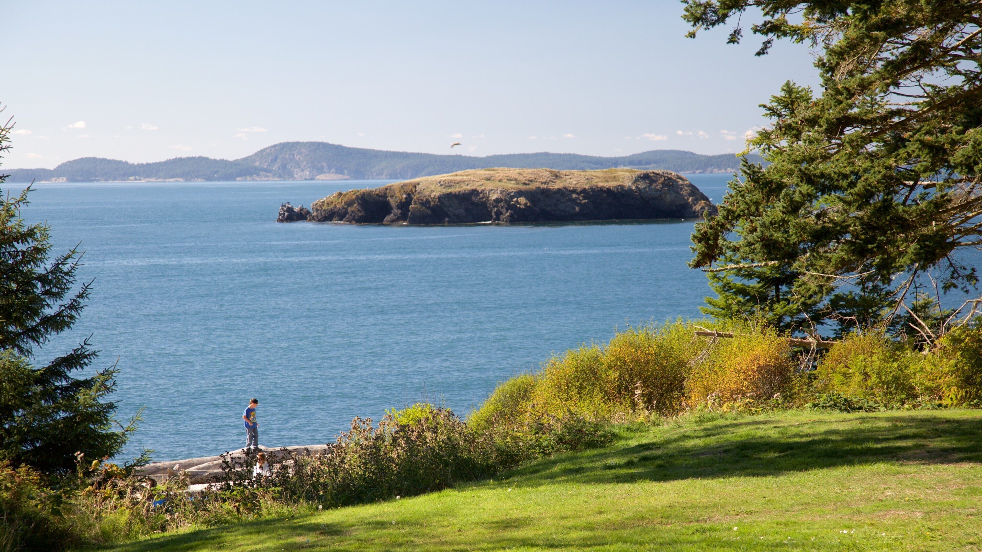A coastal landscape with a grassy foreground, a rocky island in the water, and distant hills.