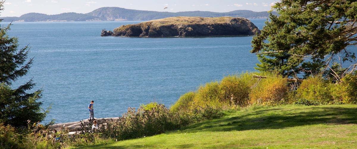 A coastal landscape with a grassy foreground, a rocky island in the water, and distant hills.