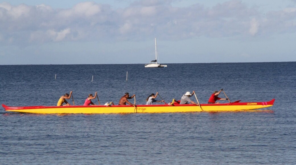 Kihei Canoe Club is the oldest in Hawaii. It's mission is to revive, develope and perpetuate Hawaiian tradition through educational, recreational cultural and competitive outrigger Hawaiian canoeing programs for both youth and adults.