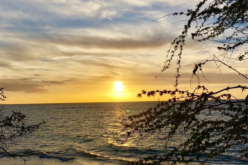 Una platja al capvespre amb onades, un cel clar i siluetes d'arbres.
