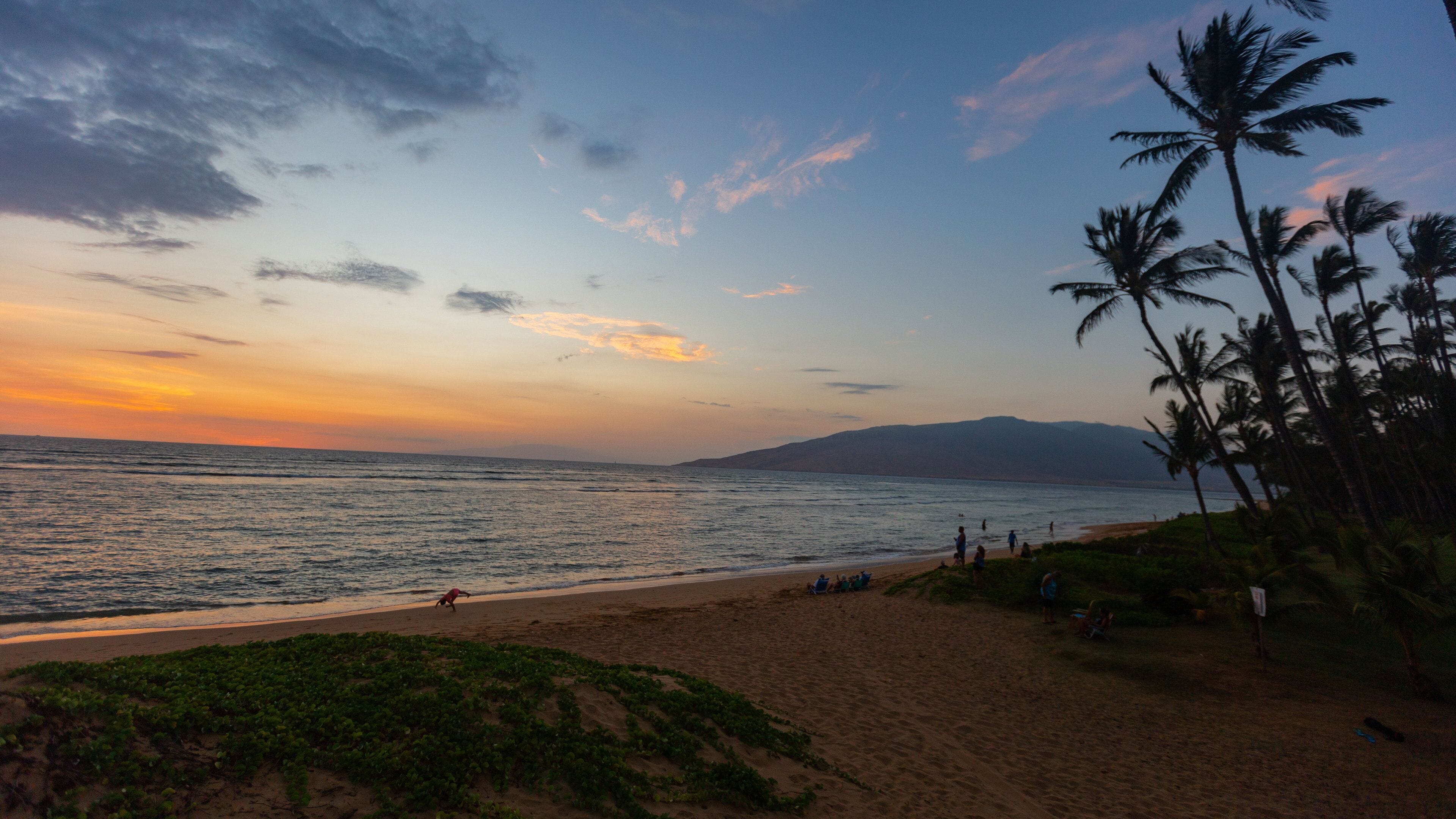 A beach with palm trees and the ocean at sunset.