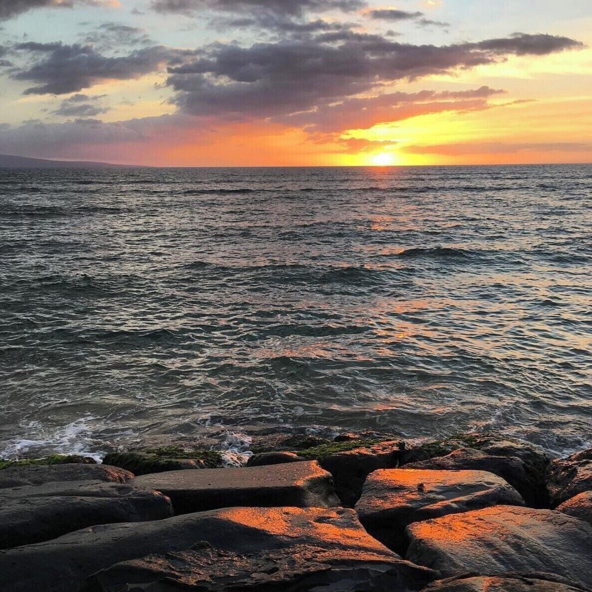 A great place to take in the local scene, watch the skaters, hear a concert and watch the sunset before heading over to Sansei for some amazing sushi. 

(Look closely for the wildlife in the photo) 

#beaches  #maui #kihei #LifeAtExpedia